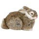 thumbnail image 1 of Simulación Relastic Rabbit Home Decorations- Marrón, 1 of 5