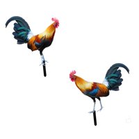 Magideal - 2 Piezas De Estacas De Jardín De Gallo, Adornos De Pollo, Esculturas Acrílicas, Estatuas De Animales Artísticas Para Jardín, Decoración De Granja De