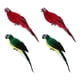 thumbnail image 1 of Juego De 4 Estatuas De Loro De 35 Cm, Figuritas De Guacamayo, Escultura Para Exteriores, Adorno De Pared, 1 of 5