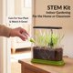 thumbnail image 3 of Kit de cultivo de plantas Brainiac Club con luz LED STEM para interior, 3 of 6