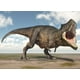 thumbnail image 4 of Puzzle Tyrannosaurus Rex Colección Jurásica (100 Piezas) - Toyng, 4 of 4