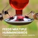 thumbnail image 2 of Comedero para colibríes Perky-Pet 8109-2, cristal envejecido, 470 ml, 2 of 8