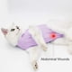 thumbnail image 4 of Traje de recuperación DOTON para gato, postquirúrgico, morado, talla S, 4 of 5