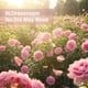 thumbnail image 4 of Crema de manos W.Dressroom 514 May Rose 50 ml, 4 of 8