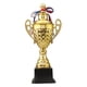 thumbnail image 4 of Trofeo De Partido De Liga De Fútbol De Metal Para Torneos Celebraciones Escenario 48 Cm, 4 of 5