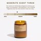 thumbnail image 3 of Vela P.F. Candle Co. Ámbar y Musgo 204 ml, 3 of 6