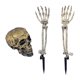 thumbnail image 1 of Juego De Esqueletos Iluminados De Halloween Con Estacas De Calavera Para Fiesta De Halloween En El Cementerio, Color Verde, 1 of 2