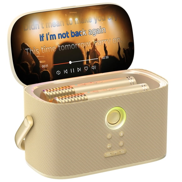 Micrófono inalámbrico Karaoke Machine Ikarao Shell S2 con pantalla de 8 pulgadas y 140 W