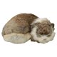 thumbnail image 3 of Dibujos Animados Realista Gato Peluche Animal Estatuilla Compañero Muñeca Juguete Gris Marrón, 3 of 3