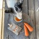 thumbnail image 3 of Snack Perro Carrot Power, 3 of 3