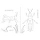 thumbnail image 2 of Insectopinta blanco, 2 of 6