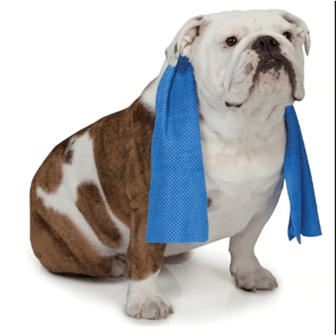 Genérico - Toalla De Refrigeración Para Mascotas Reutilizable