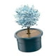 thumbnail image 2 of Novedad Kit De Cultivo De árboles De Cristal Juguete Educativo De Aprendizaje Para Niños Cerulean, 2 of 5