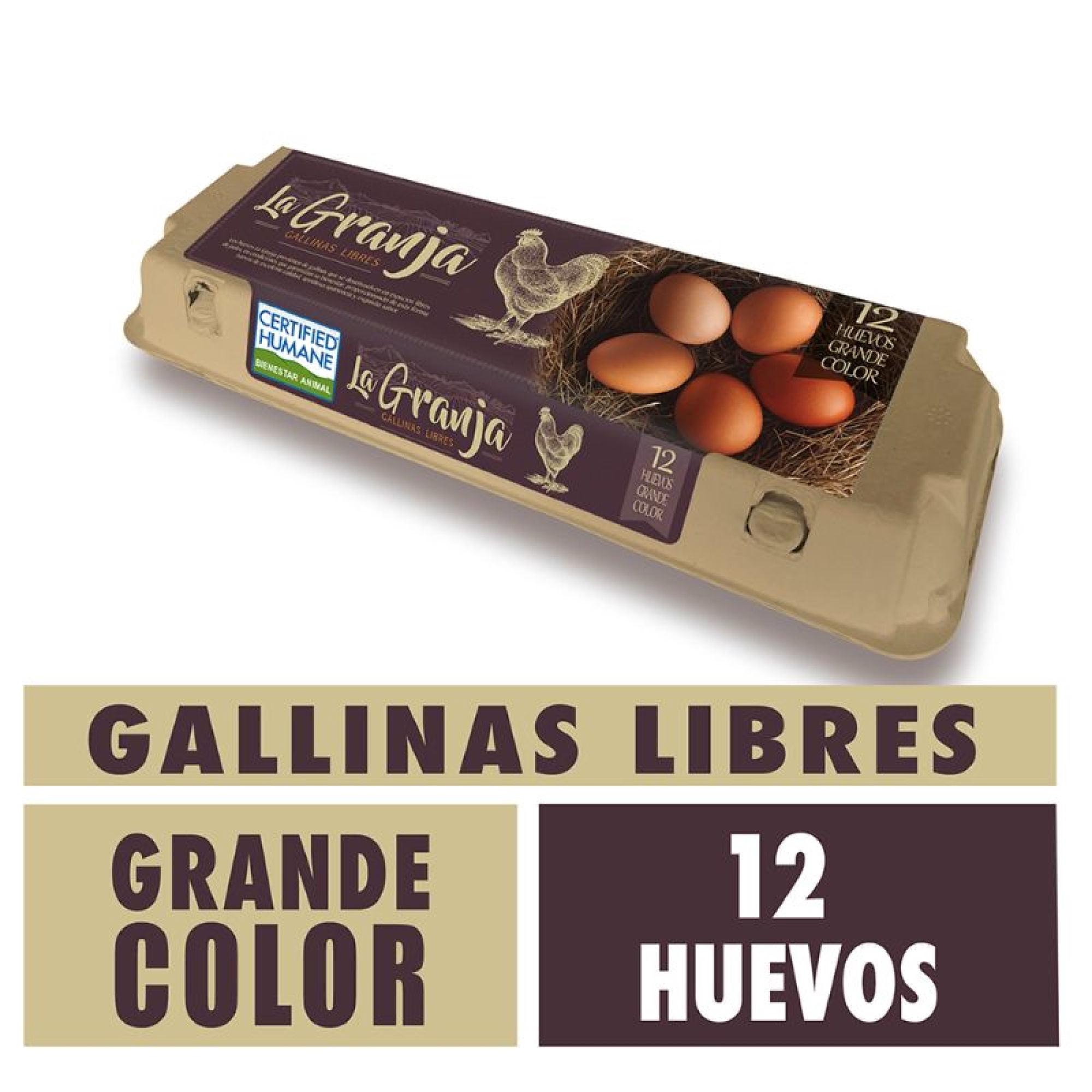 Huevos De Campo Y Gallina Libre Grande Color 12 Un La Granja