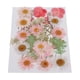 thumbnail image 5 of 25 piezas de flores secas prensadas naturales mixtas múltiples múltiples hojas de manualidades de bricolaje C, 5 of 5