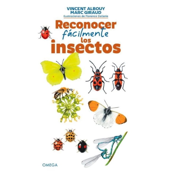 Reconocer Fácilmente Los Insectos