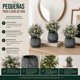 thumbnail image 4 of Set 3 Plantas Artificiales Flores Velo de Novia Decoracion purpura, 4 of 6