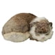 thumbnail image 2 of Dibujos Animados De Figuras De Animales De Gato De Dibujos Animados Juguete De Mu?eca Compa?era Para Ni?os Regalo, 2 of 5