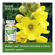 thumbnail image 4 of Mullein 1000mg Orgánico Extracto Limpieza Pulmonar 120 Cap., 4 of 6