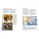 thumbnail image 2 of Pintura de paisajes de Editorial Librero, 2 of 3