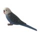 thumbnail image 1 of miniatura animales pájaros modelo estatuilla estatua scupltue juguete loro 2, 1 of 5