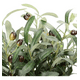 thumbnail image 2 of Ramas olivo artificiales con frutas, 2 of 3