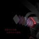 thumbnail image 4 of Filtro CPL PGYTECH para DJI Mini 3, 4 of 4