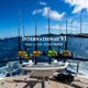 thumbnail image 2 of Carrete de pesca PENN INT20VISX 2 velocidades, 2 of 8