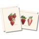 thumbnail image 1 of Juego de tarjetas de notas Earth Sky + Water de 8 unidades – Fresa, 1 of 4