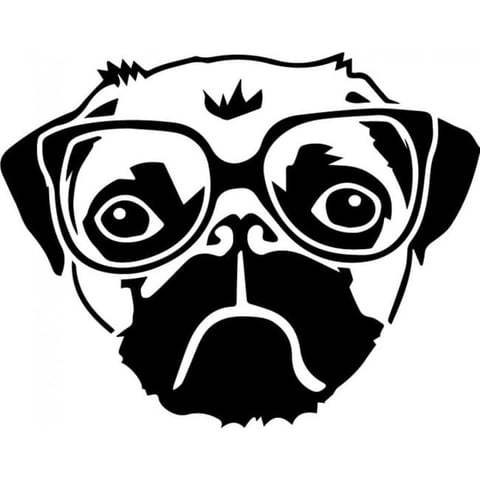 Rienda Libre Graphics - Decomural Funny Pug Dog Glasses Ws-32625