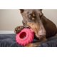 thumbnail image 2 of Juguete para perro Jolly Pets JTR23 de goma resistente 15 cm rojo, 2 of 5