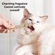 thumbnail image 3 of Juguete masticable para gatos con hierba gatera orgánica, juguete interactivo para gatos de interior., 3 of 5