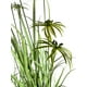 thumbnail image 2 of Planta Decorativa Pasto Con Papiro 180Cm, 2 of 3