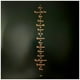 thumbnail image 2 of Kanye West & Ty Dollar Sing - Vultures 1 (2lp) (colour Vinyl) | Vinilo, 2 of 8