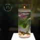 thumbnail image 5 of Cera para Velas Direct Candle Supply 10 lb Marfil Sin Aroma, 5 of 6