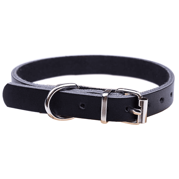 Correa de repuesto para collar de perro impermeable para mascotas, para collar de choque y cerca, fácil de limpiar, sin olor.