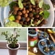 thumbnail image 5 of Pebbles De Arcilla Expandida 1 Kg 4 Mm A 16 Mm Para Plantas, 5 of 7