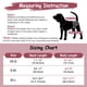 thumbnail image 3 of Dog Suspenders Pet Soft Pañales Keeper para perra hembra, 3 of 7