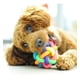thumbnail image 3 of Pelota Interactiva Para Perros Y Gatos, 6cm X 6cm Multicolor, 3 of 3