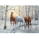 thumbnail image 1 of Puzzle Cobble Hill Winter Trio 1000 piezas con póster, 1 of 5