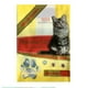 thumbnail image 1 of Premium Cat Arena Super Aglutinante, Aroma Limon 5kg, 1 of 1