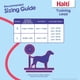thumbnail image 3 of Correa de entrenamiento The Company of Animals HALTI Multifunctional, 3 of 5