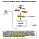 thumbnail image 3 of Suplemento FullerLife60 Carbon 60 tiras antioxidantes, 3 of 3