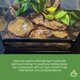 thumbnail image 4 of Sustrato BioBedding Tropical de Josh's Frogs – 10 cuartos, 4 of 8