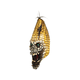 thumbnail image 1 of MASCARA EVIL CORN, 1 of 1