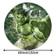 thumbnail image 5 of Hulk Mantel Redondo con Estampado Icónico de Temática, Se Adapta a la Mayoría de Mesas, Fácil de Cuidar, Regalo Perfecto para Aficionados, Amigos y Familia.180cm, 5 of 5