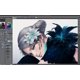 thumbnail image 4 of Software GRAPHIXLY CLIP STUDIO PAINT EX (Licencia Perpetua), 4 of 5