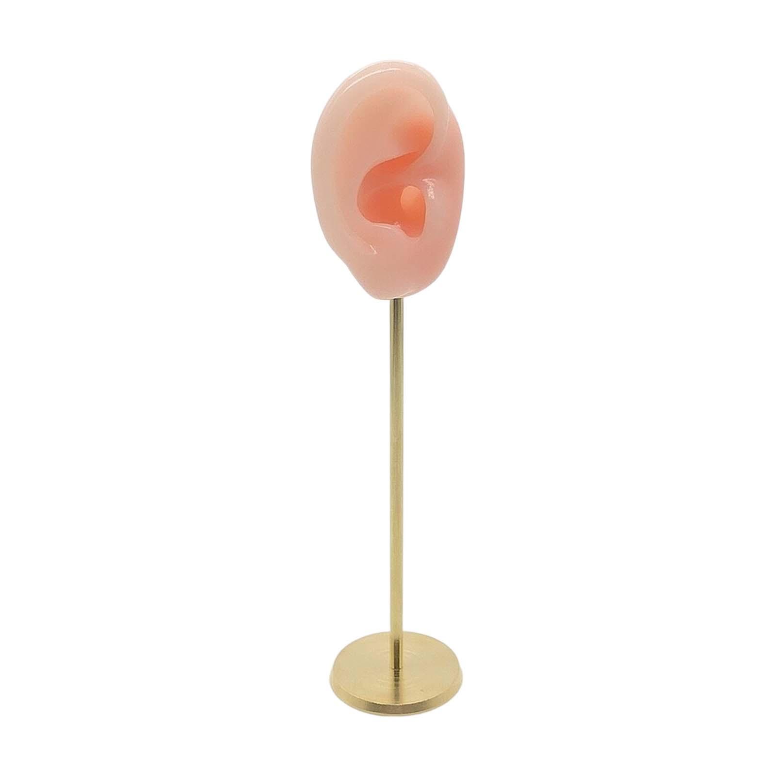 Ioensy - Moldes De Oreja De Silicona Soporte De Exhibición De Aretes Accesorios De Exhibición De Fotografía Escaparate Rosa Derecha