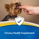 thumbnail image 4 of Suplemento Cranberry Extra 60 Tabletas Para Perros Y Gatos, 4 of 6