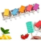 thumbnail image 1 of Moldes De Silicona Para Helados Molde Paletas Helado 8c 446, 1 of 3